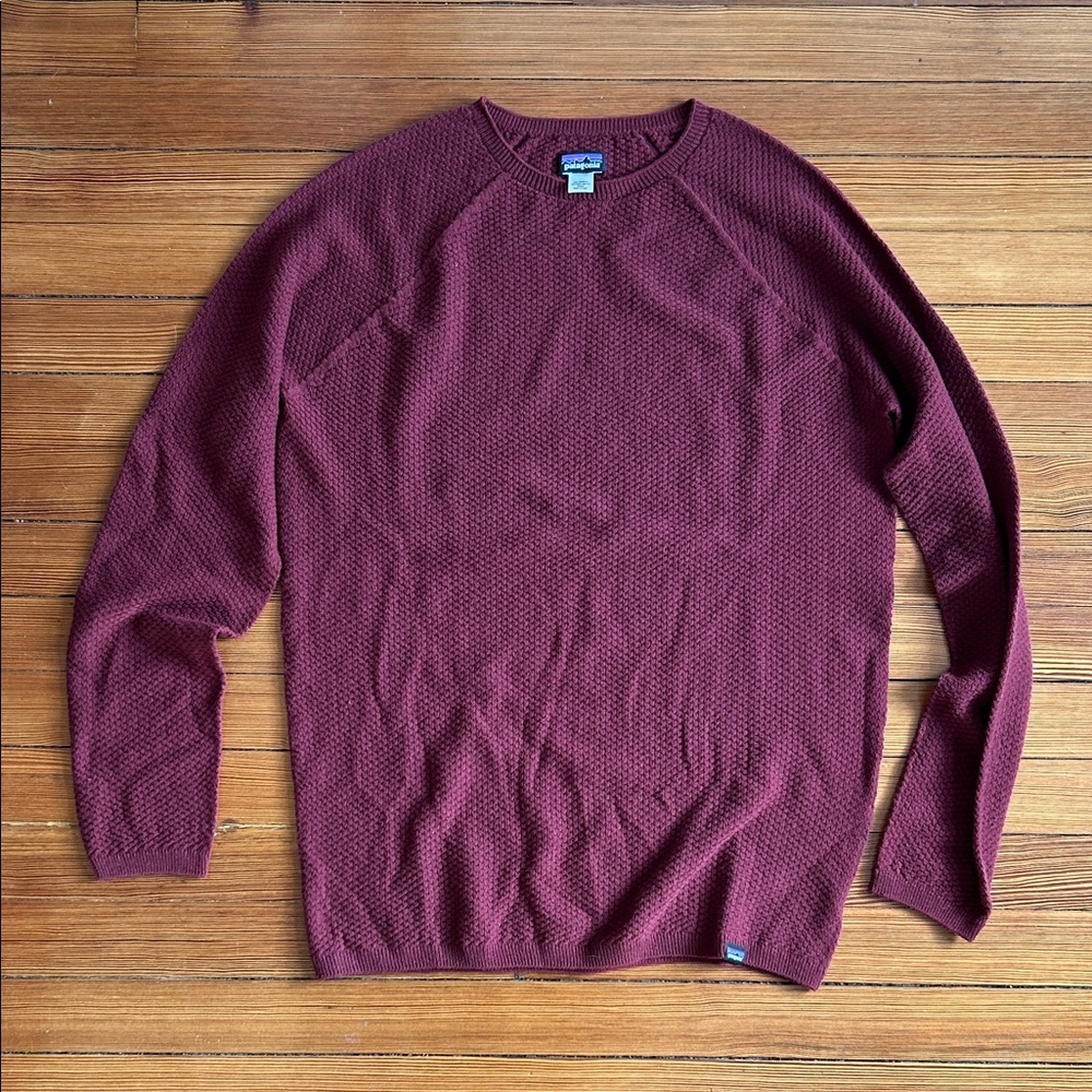 Patagonia Men's wool baselayer